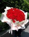 進口大玫瑰Columbia Rose